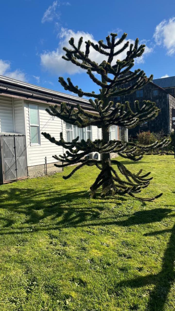 Cabanas Bosque Sur Puerto Varas Exterior photo